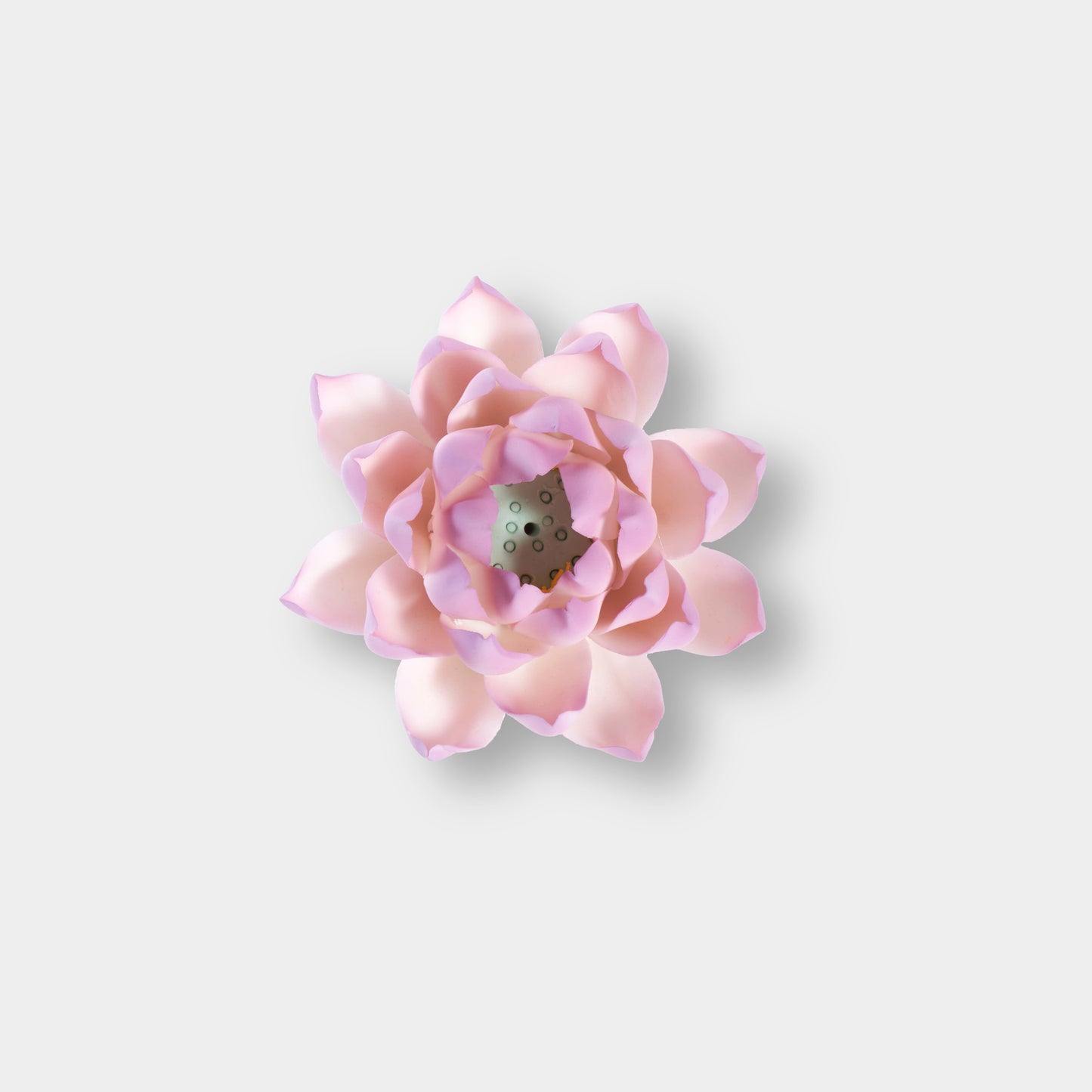Lotus Serenity in Porcelain