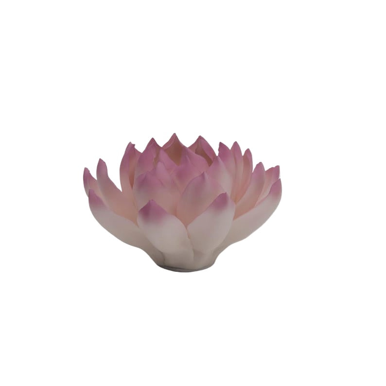 Lotus Serenity in Porcelain