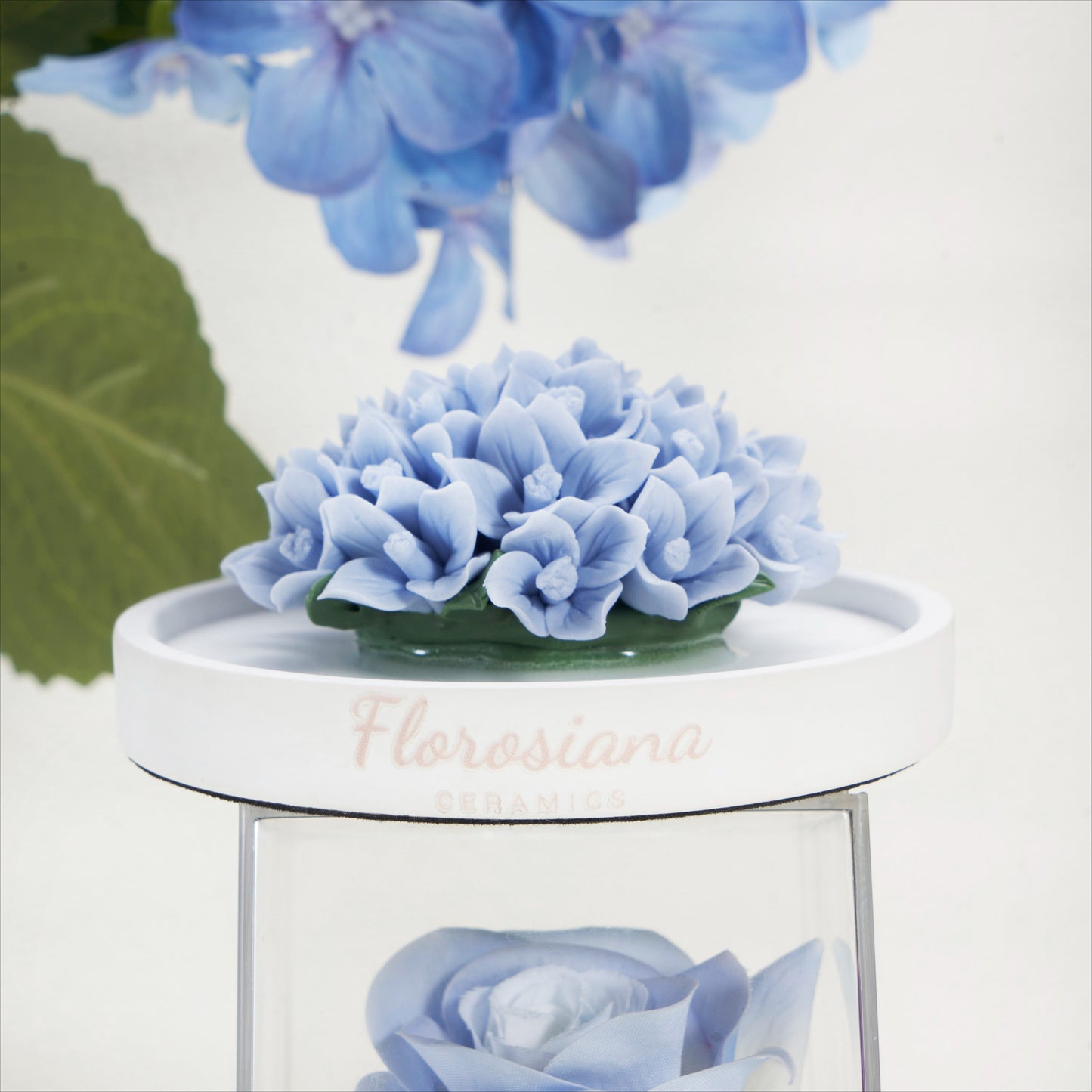 Petals of the Cerulean Sea